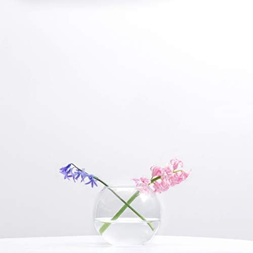 WGVI Clear Glass Vase with Bubbles 6 Diameter