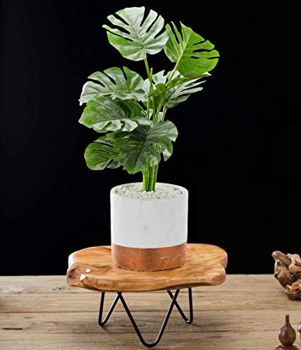 TJ Global Natural Edge Wooden Stand with Hairpin Legs