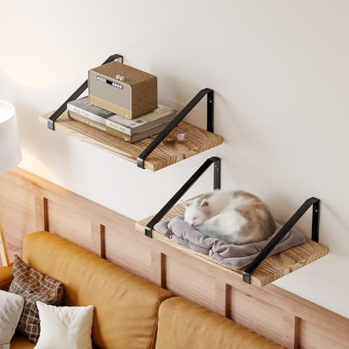 Fixwal 12 Inch Deep Floating Shelves for Home Decor