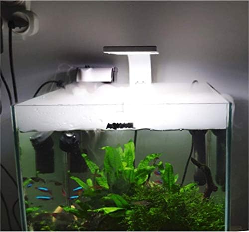 Beduan Mist Maker Fog Atomizer for Pond Rockery Water Fountain