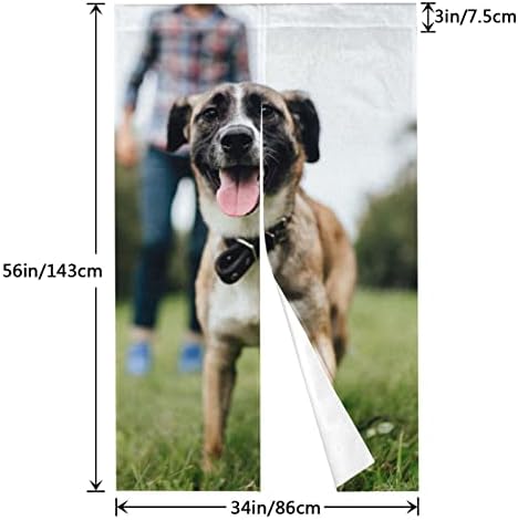 ADAPTOR Customizable Japanese Noren Curtain Tapestries for Doorway Partition