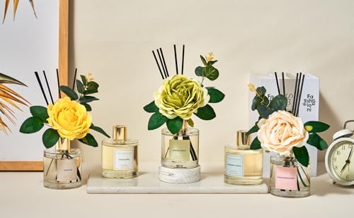 Cocorina Reed Diffuser Set Vanilla Cashmere