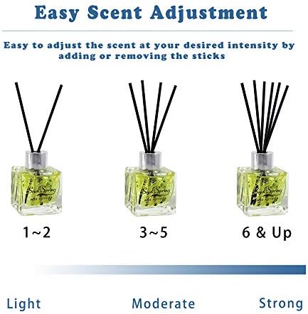 Seed Spring Vanilla Reed Diffuser Set