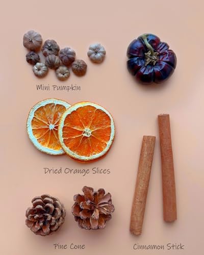 Fall Potpourri Bowl Filler with Mini Pumpkin and Cinnamon Stick