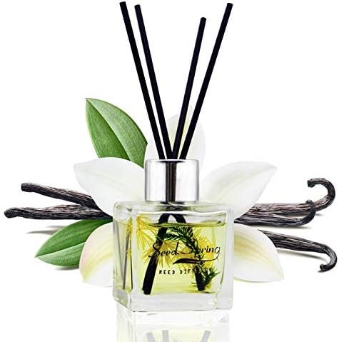 Seed Spring Vanilla Reed Diffuser Set