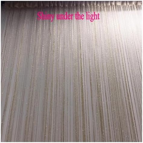 Shiny Tassel String Curtains for Living Room and Room Divider