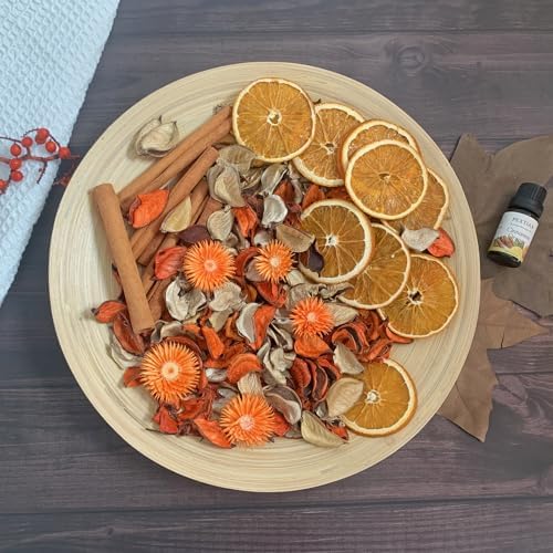 Fall Potpourri Dried Orange Slices Cinnamon Sticks Decorative Bowl Filler