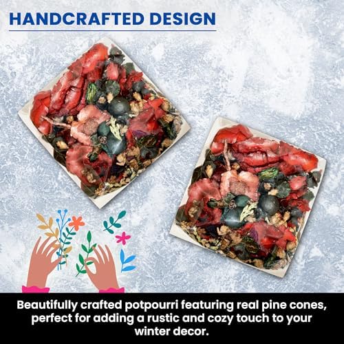 Winter Potpourri Bag with Pine Scent