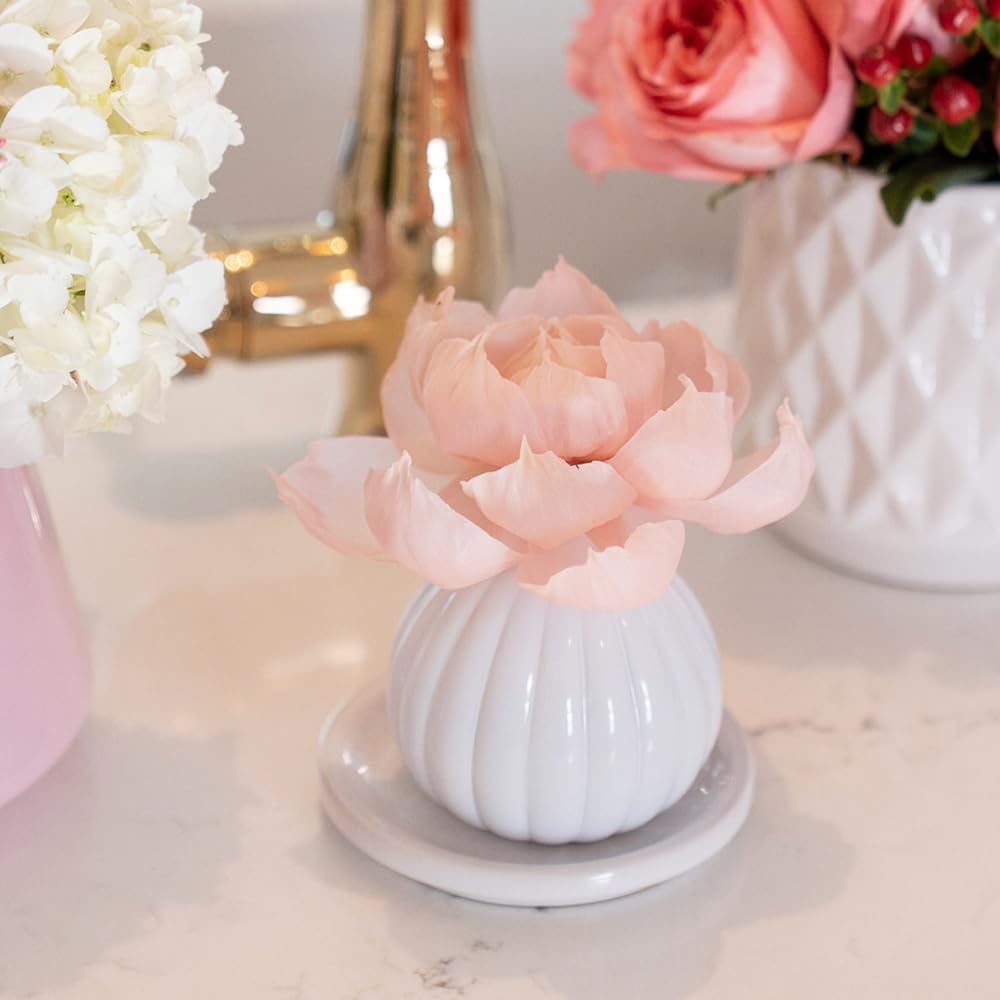 Bridgewater Candle Sweet Grace Reed Diffuser Set