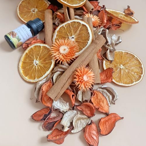 Fall Potpourri Dried Orange Slices Cinnamon Sticks Decorative Bowl Filler