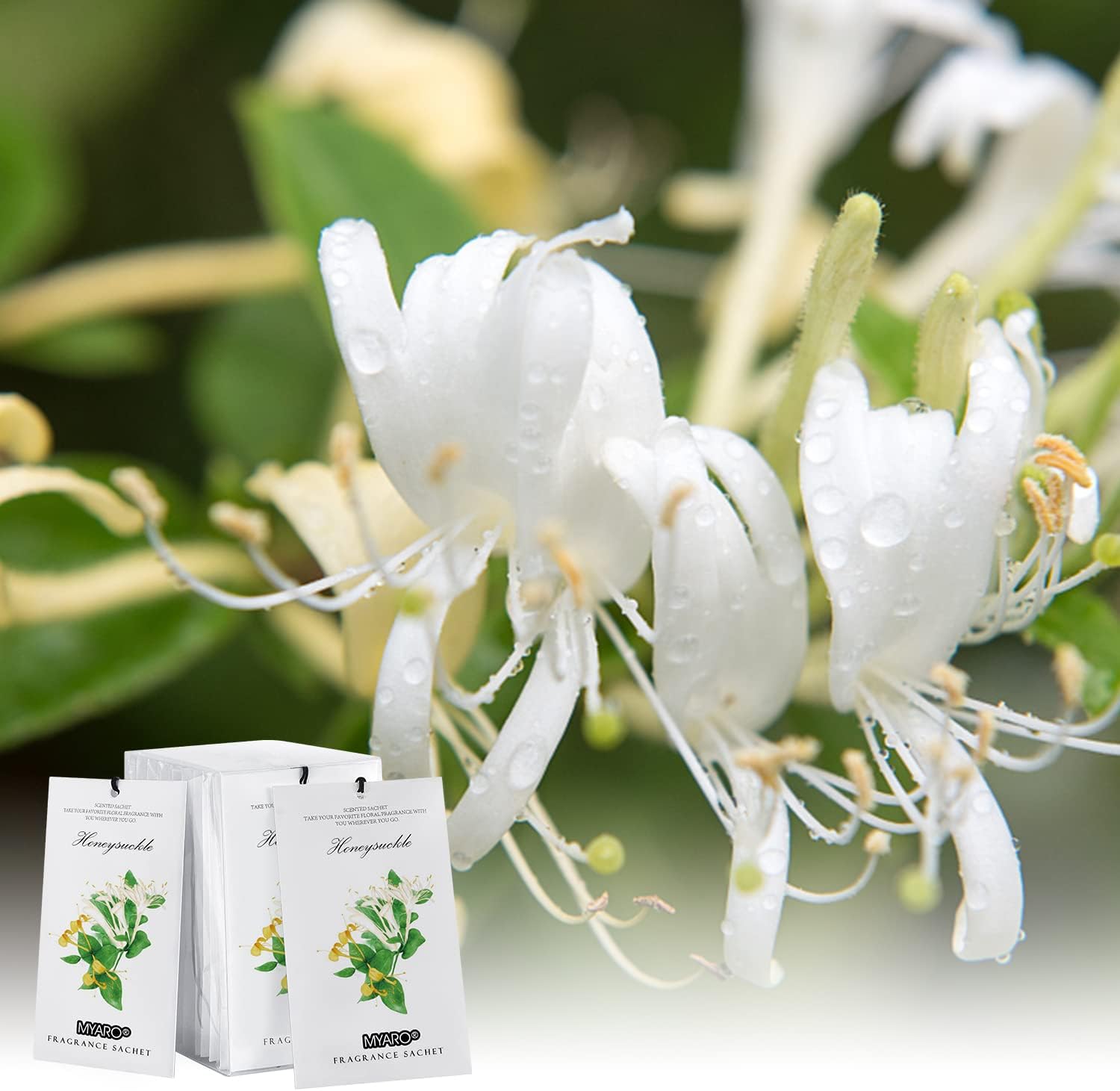 MYARO 12 Pack Honeysuckle Scented Sachets for Drawer and Closet