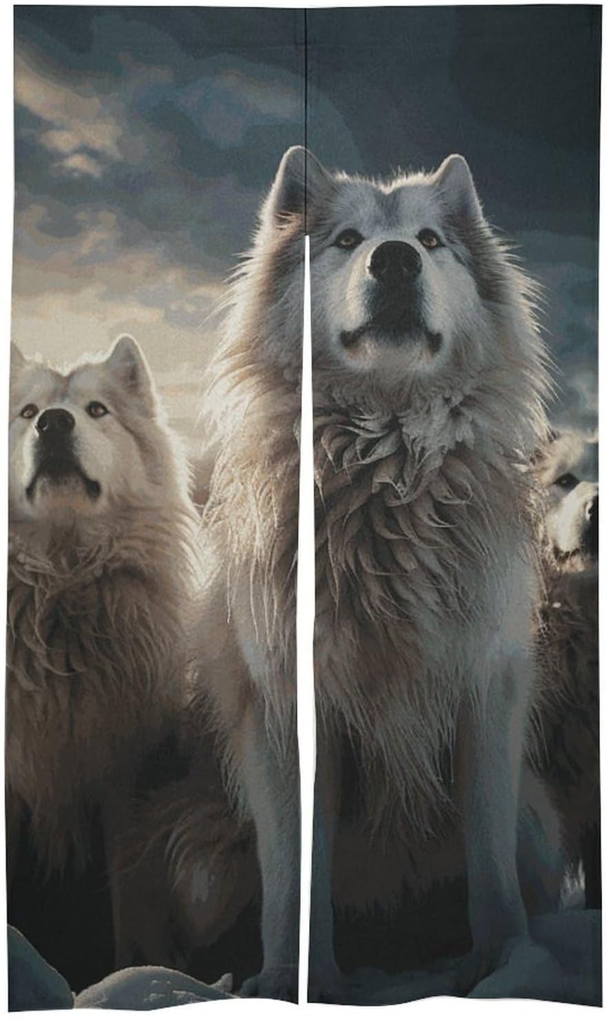 Wolf Tribe Door Cover Curtain 57x17 Inches