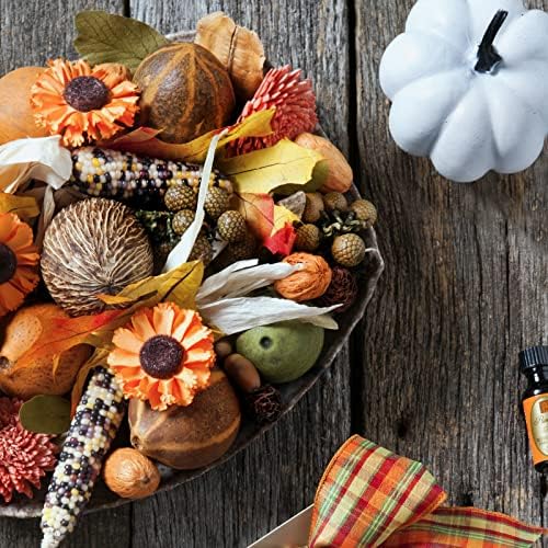 Aromatique Pumpkin Spice Potpourri 8 Ounce
