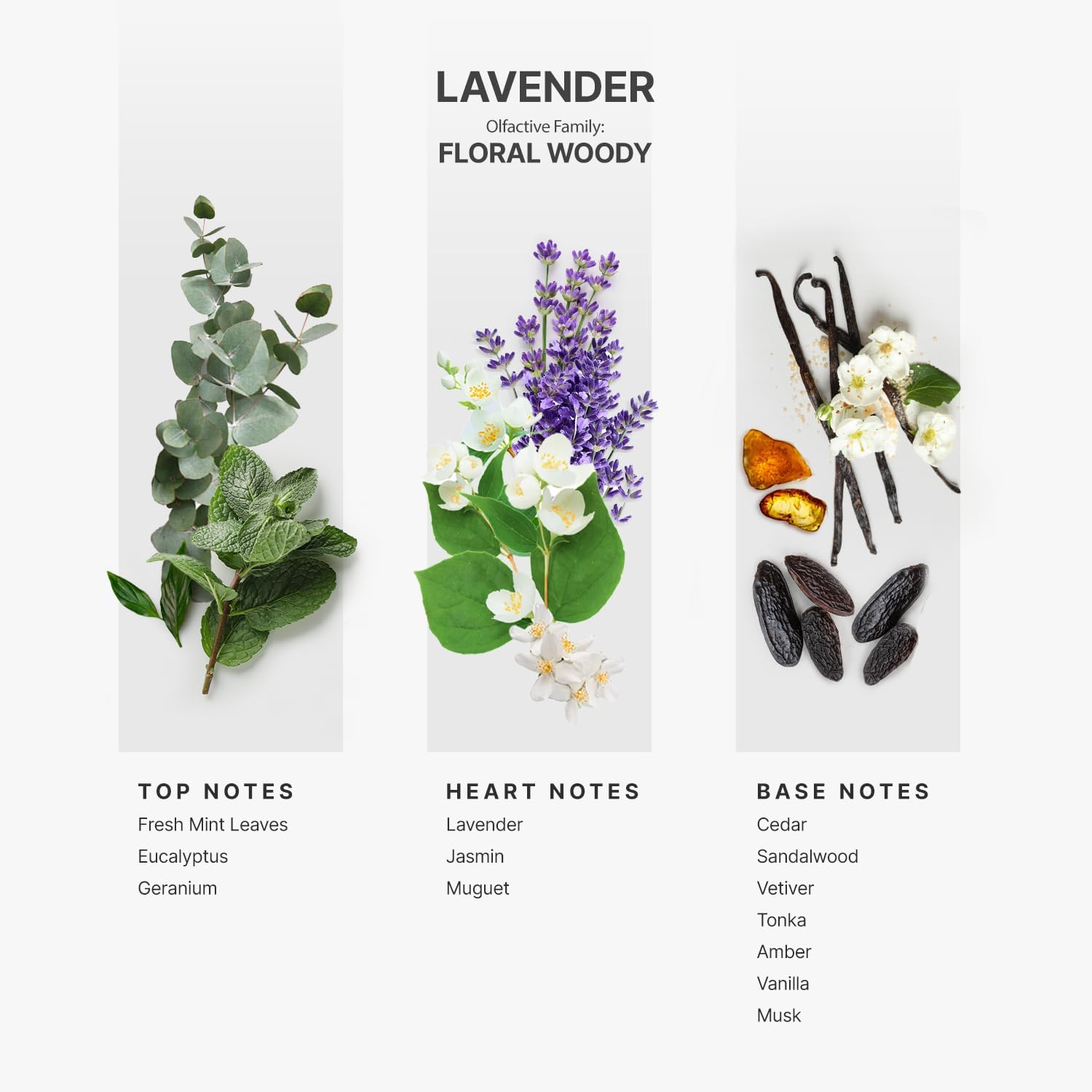 AROMAPLAN Hotel Scents Lavender 5 Fl Oz