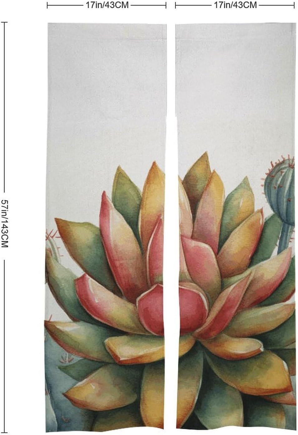 Watercolor Succulent Door Curtain 57x17 Inches