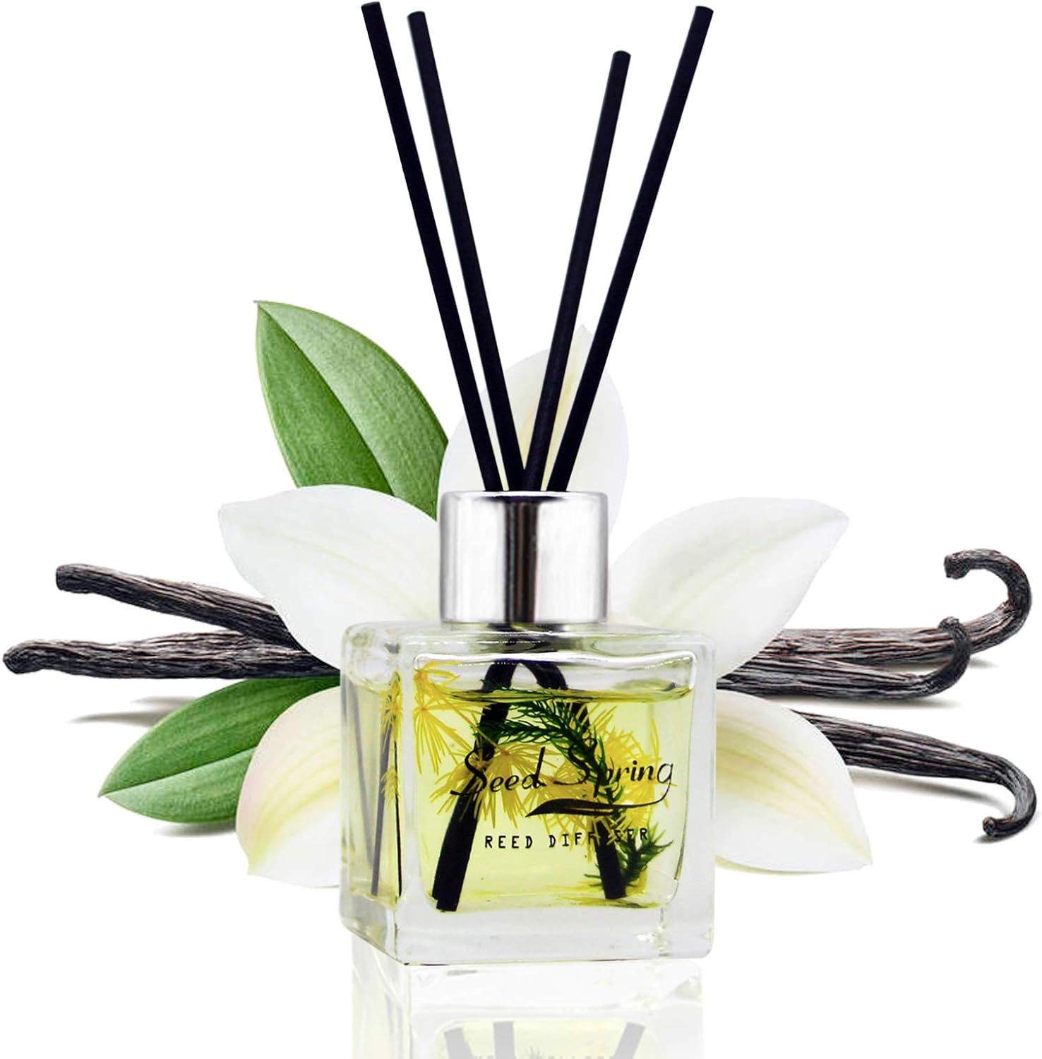 Seed Spring Vanilla Reed Diffuser Set
