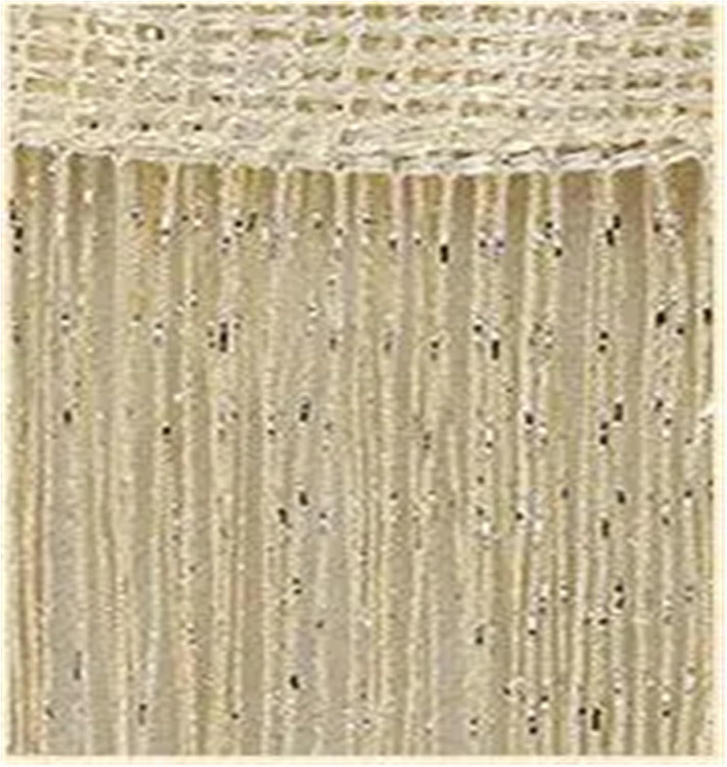 TYLPFH Shiny Tassel String Curtain 3x26m