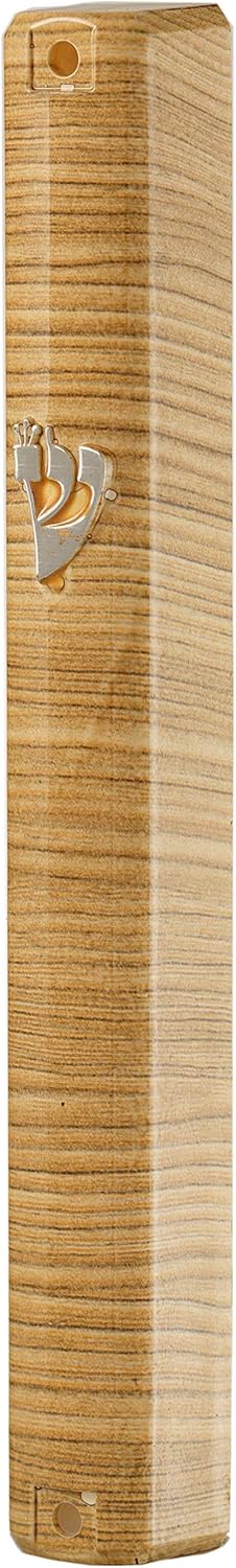 SS Mezuzah Case Holder for 15cm Scroll