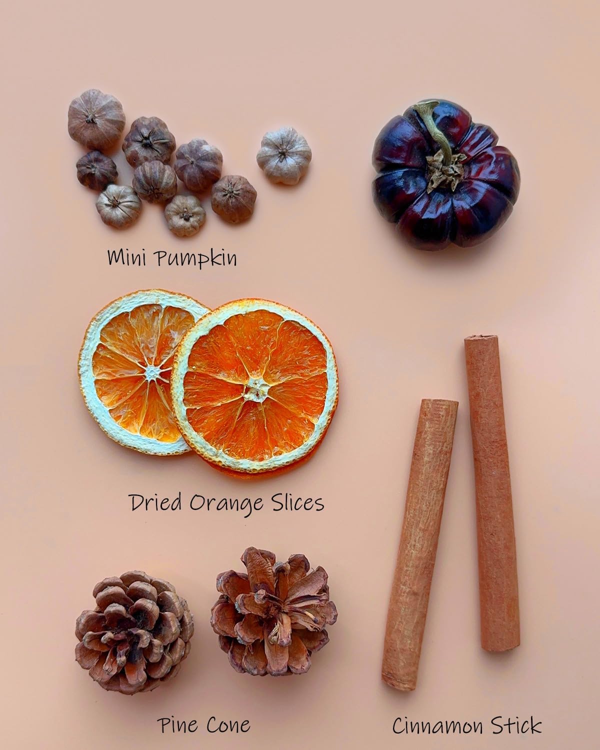Fall Potpourri Bowl Filler with Mini Pumpkin and Cinnamon Stick