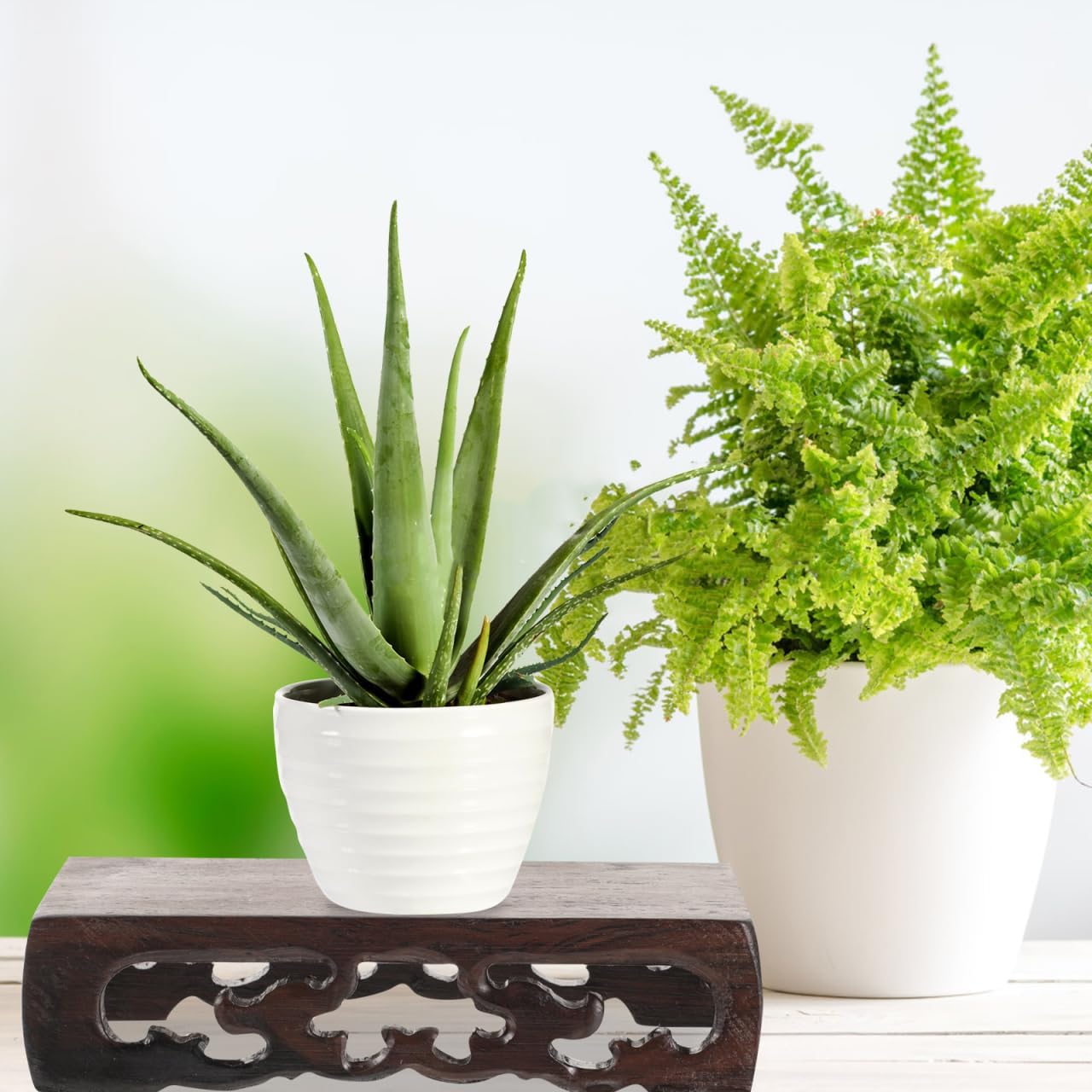 Amosfun Rectangular Wooden Display Stand for Bonsai and Decor