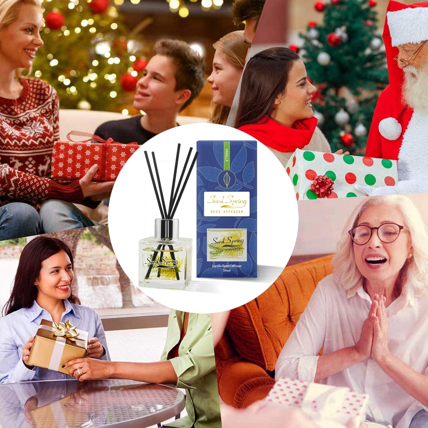 Seed Spring Vanilla Reed Diffuser Set