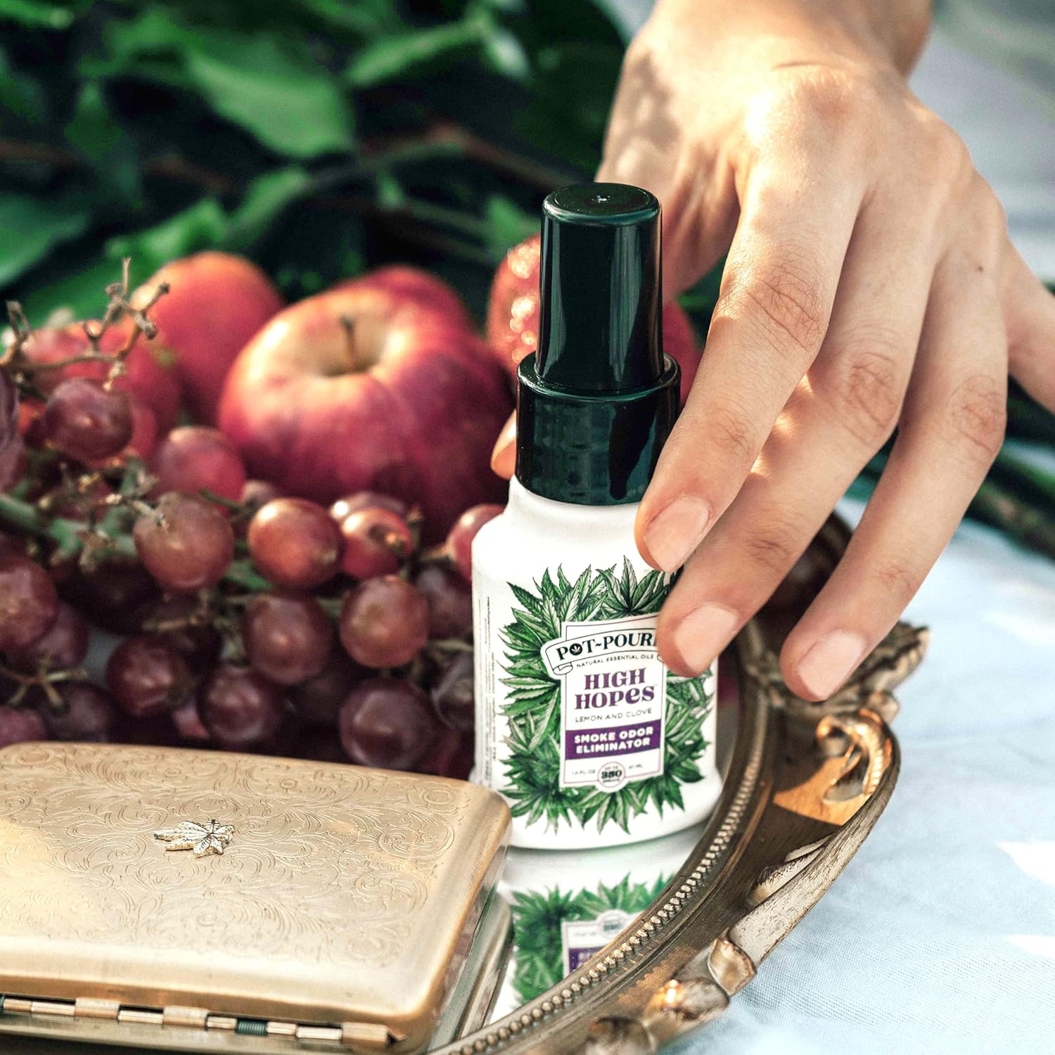Pot-Pourri Smoke Odor Freshener Spray Lemon and Clove 14 Fl Oz